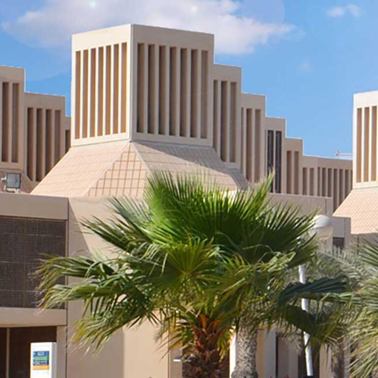 Qatar University